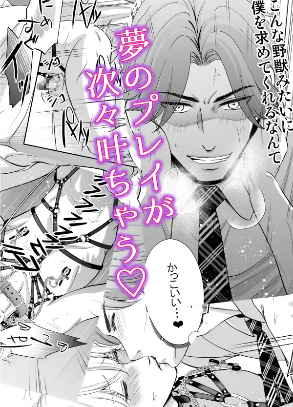 ドSスイッチ レビューサンプル画像