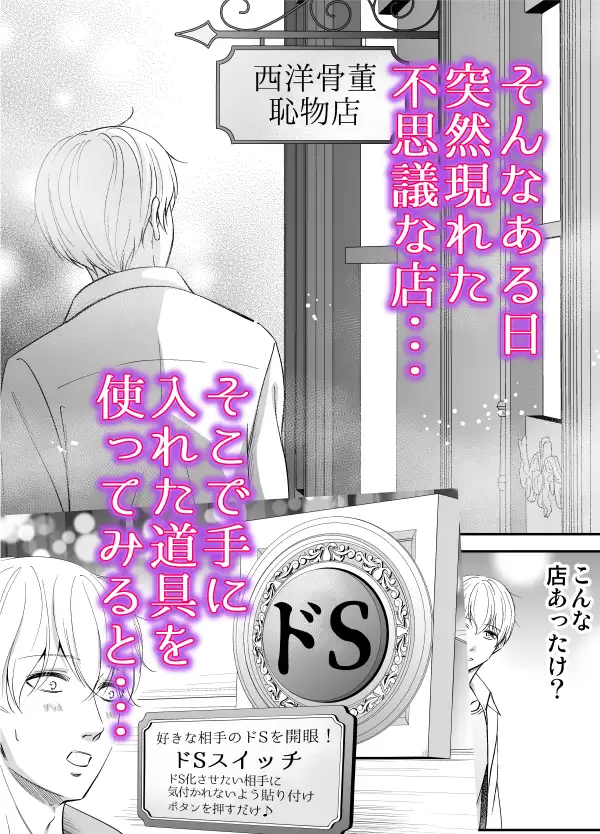 ドSスイッチ レビューサンプル画像