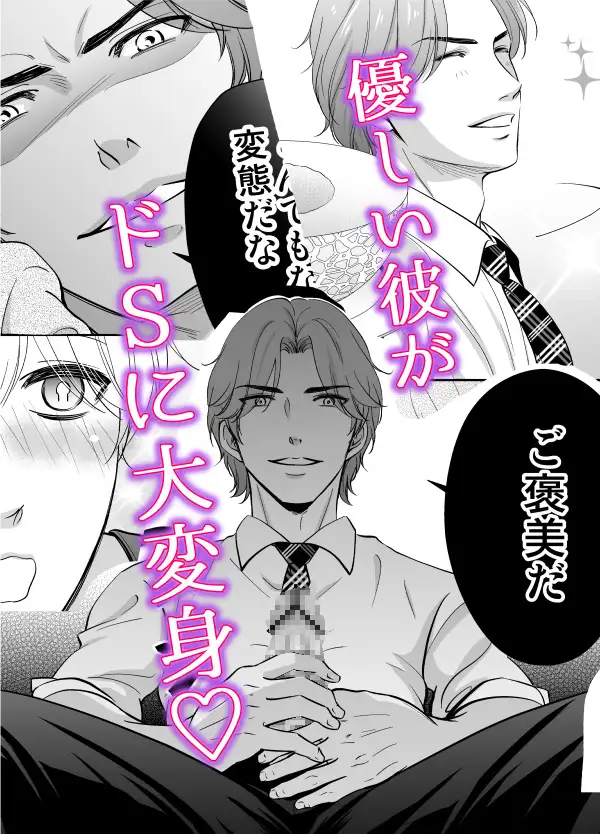 ドSスイッチ レビューサンプル画像