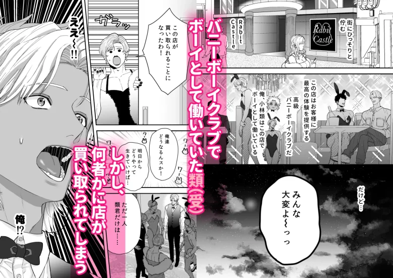 エッチ♡バニー 〜ボーイの俺がバニーになって恋人契約♡した件について〜 レビューサンプル画像 1