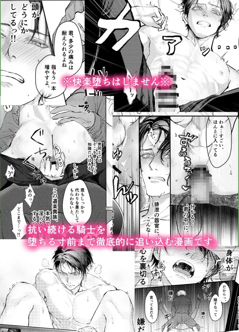 『貴方に従い、貴様に抗う。』〜絶対に堕ちない気高い剣聖が、交換条件で嫌いな主君に屈辱的に犯される漫画〜【初夜編】 レビューサンプル画像 7